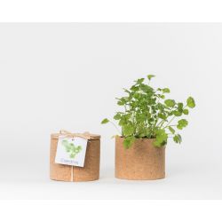 Pot en liège - Coriandre - Plante à faire pousser - 