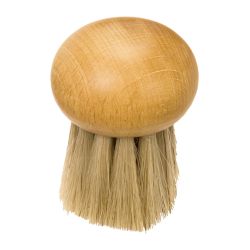 Brosse à champignon en bois sans manche