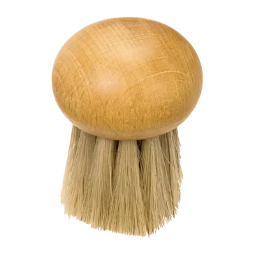 Brosse à champignon sans manche
