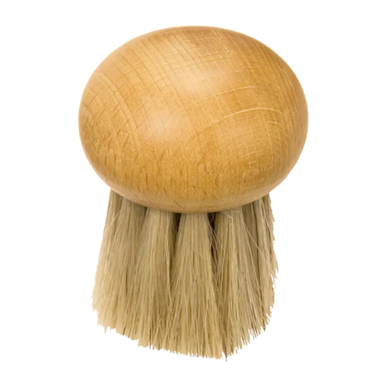 Brosse à champignon sans manche