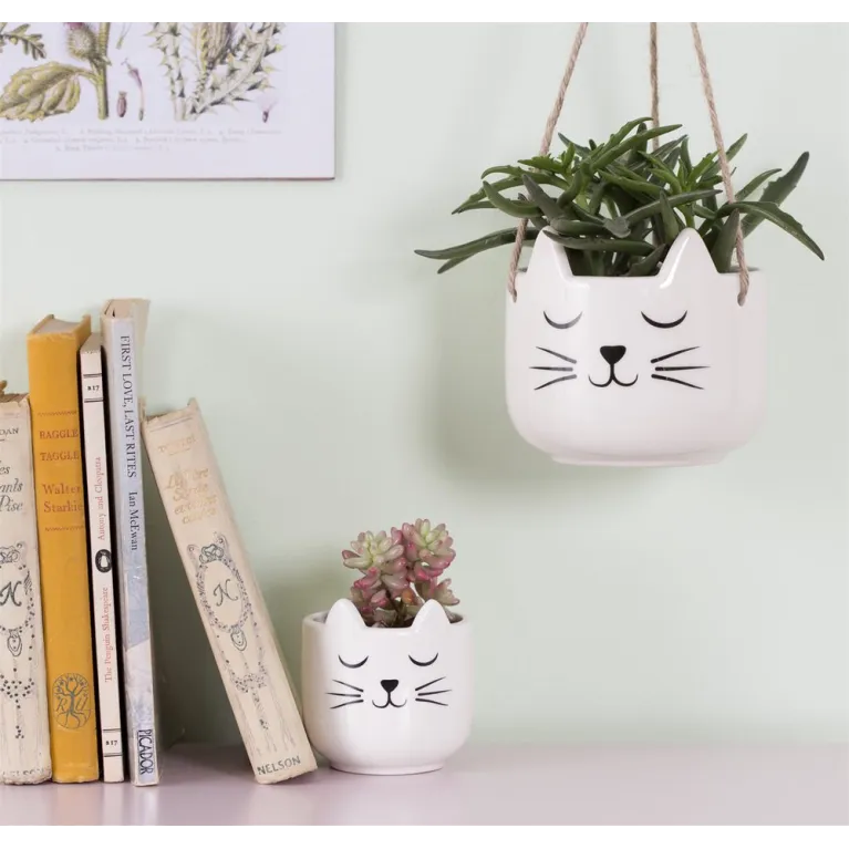 Petit pot pour plante - Chat blanc qui dort