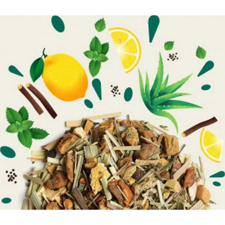 Sachet 100 g - Infusion - Détox Aloe vera