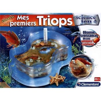 Mes premiers triops 