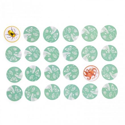 Mémory des animaux Tout autour du monde