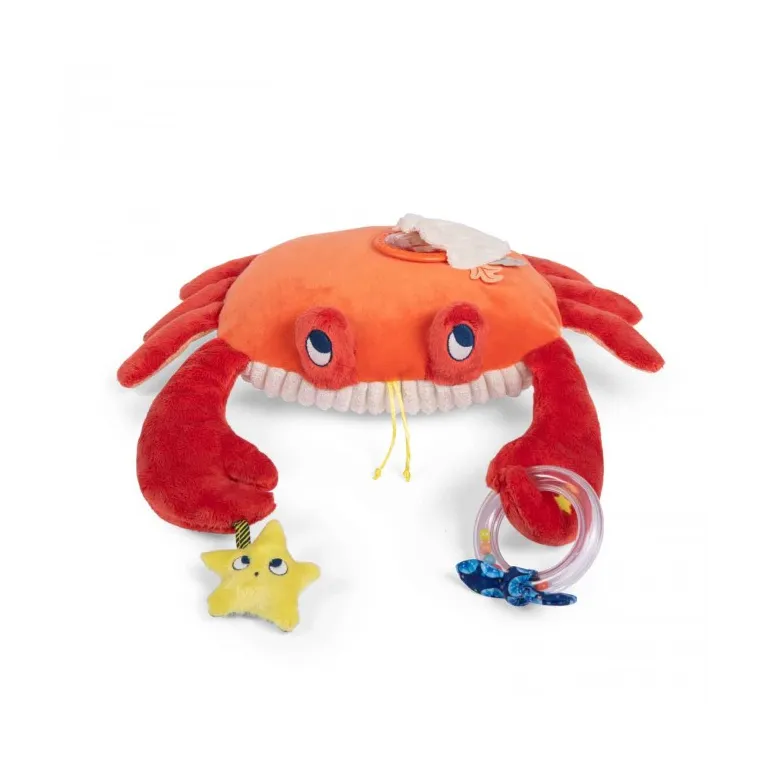 Grand crabe d'activités Les aventures de Paulie