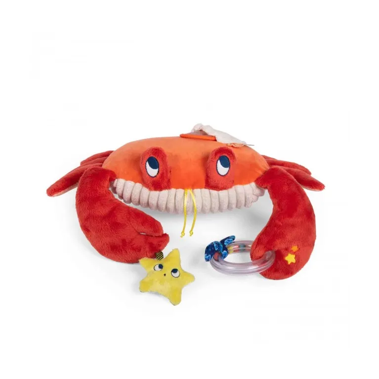 Grand crabe d'activités Les aventures de Paulie