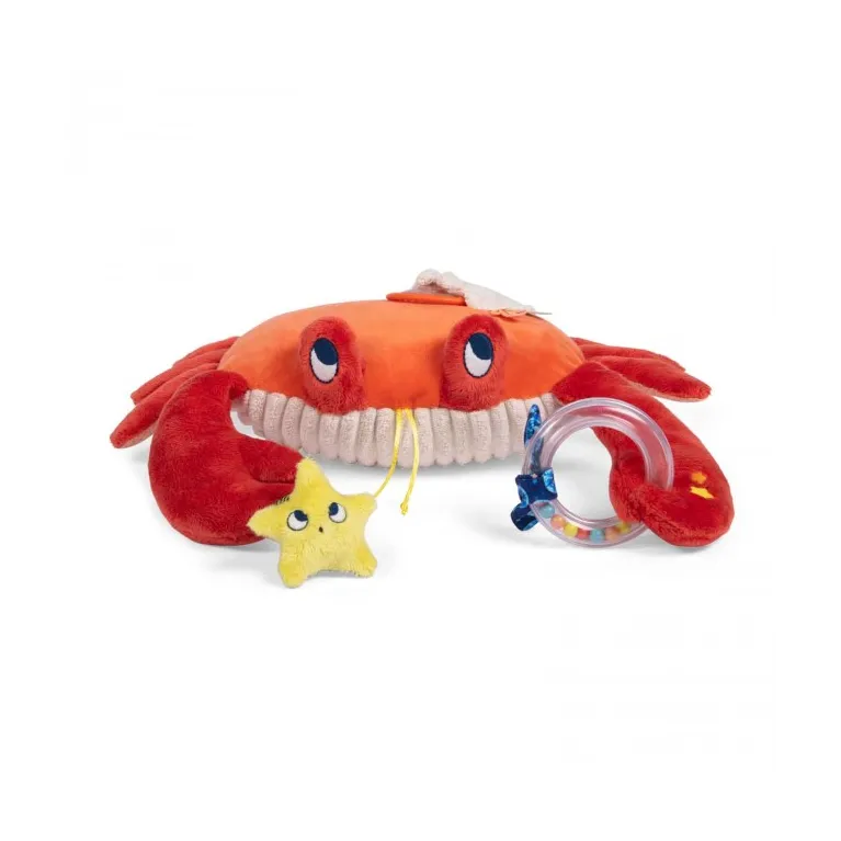 Grand crabe d'activités Les aventures de Paulie