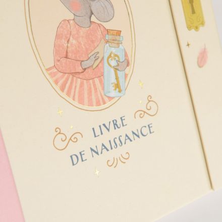 Livre de naissance - La petite école de danse 