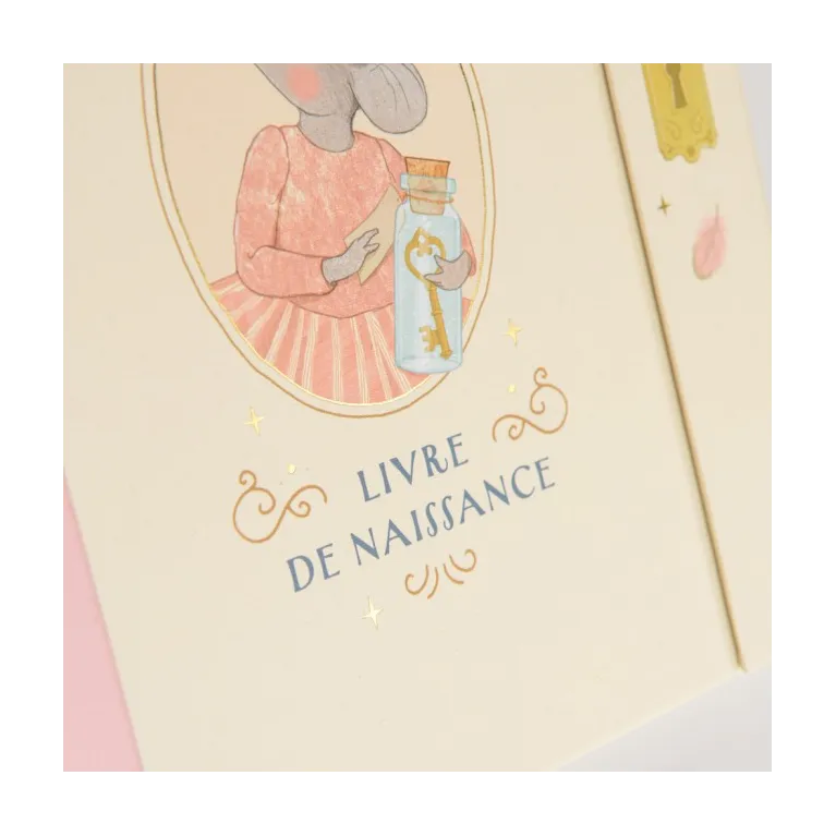 Livre de naissance - La petite école de danse 
