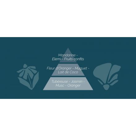 Bougie parfumée - Tubéreuse n°31 - 420gr
