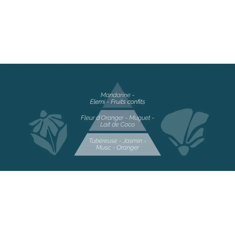 Bougie parfumée - Tubéreuse n°31 - 420gr