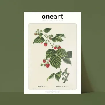 Affiche One Art - 30x40 cm - Ronce du mont IDa