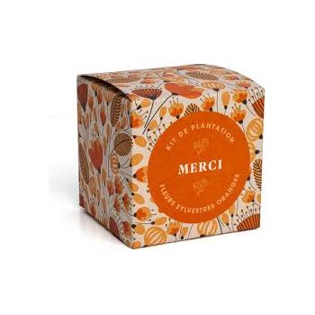Kit de plantation - Merci - Fleurs sylvestres oranges 