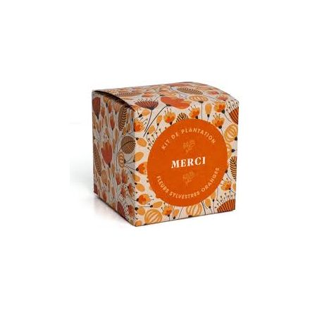 Kit de plantation - Merci - Fleurs sylvestres oranges 