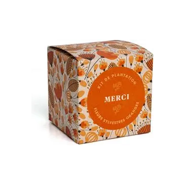 Kit de plantation - Merci - Fleurs sylvestres oranges 
