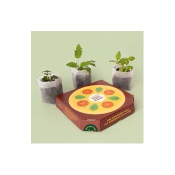 Kit de culture - Pizza Lover - Basilic Tomate Origan 