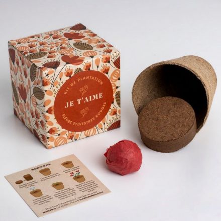 Kit de plantation - Je t'aime - Fleurs sylvestres rouges