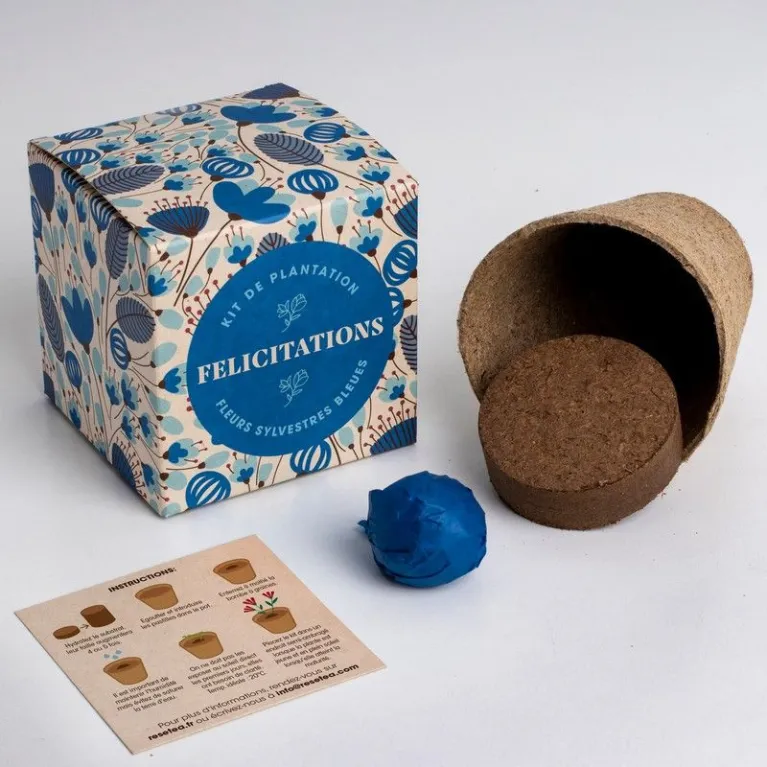 Kit de plantation - Félicitations - Fleurs sylvestres bleues 