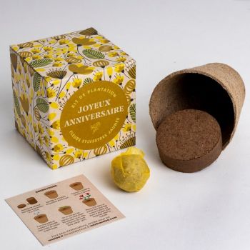 Kit de plantation - Joyeux anniversaire - Fleurs sylvestres jaunes