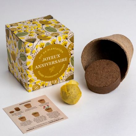 Kit de plantation - Joyeux anniversaire - Fleurs sylvestres jaunes