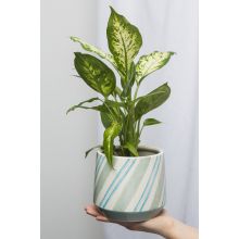 Pot blue aquarelle