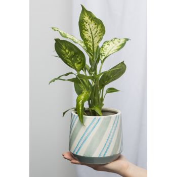 Pot blue aquarelle