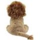 Peluche Léo - Lion 