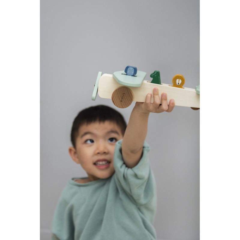 Avion en bois - Avec Animaux 