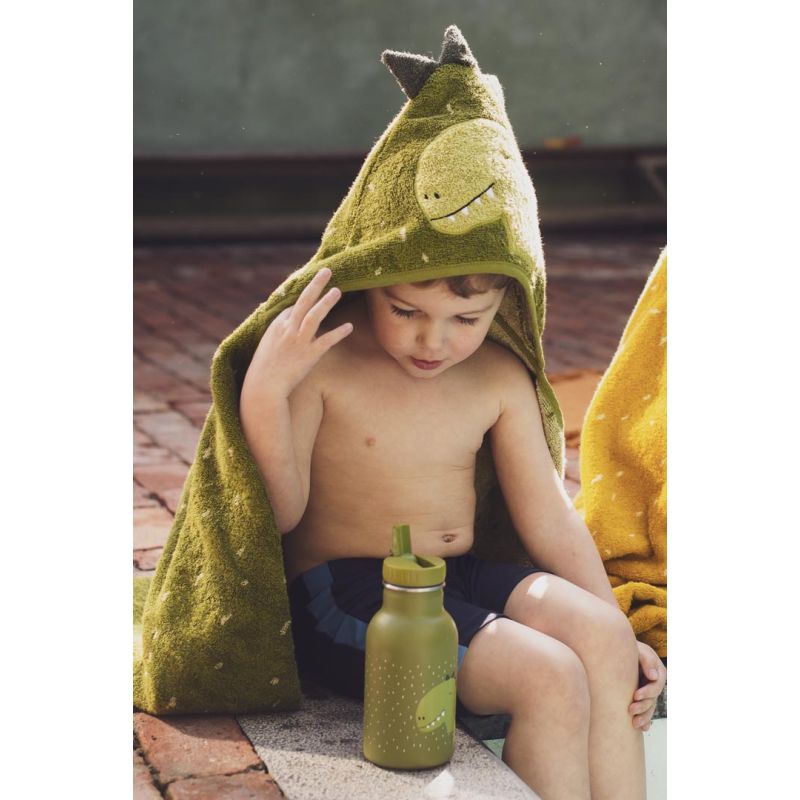 Gourde 350 ml - Mr Dino