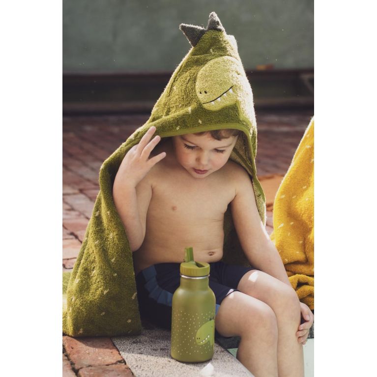 Gourde 350 ml - Mr Dino