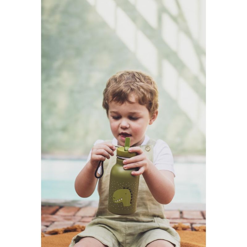 Gourde 350 ml - Mr Dino