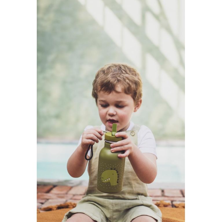 Gourde 350 ml - Mr Dino