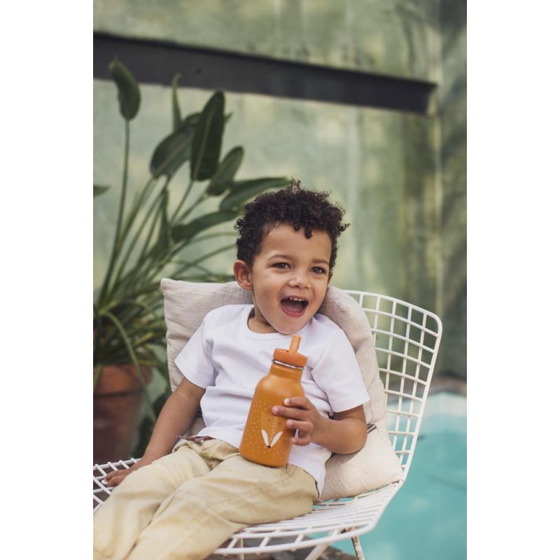 Gourde 350 ml - Mr Renard