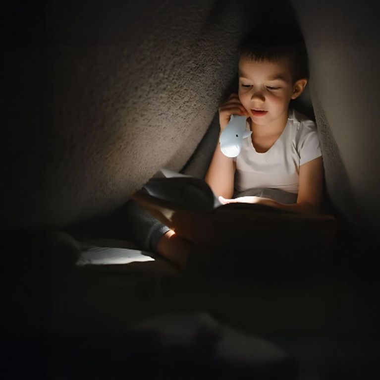 Lampe de poche - Dauphin