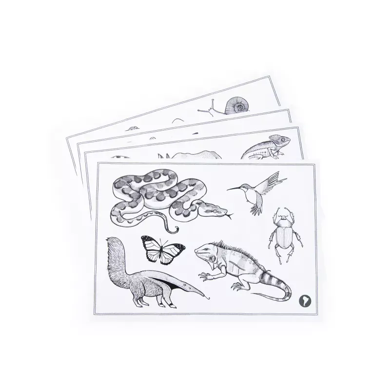 Tablette lumineuse Kidywolf x Moulin roty tout autour du monde