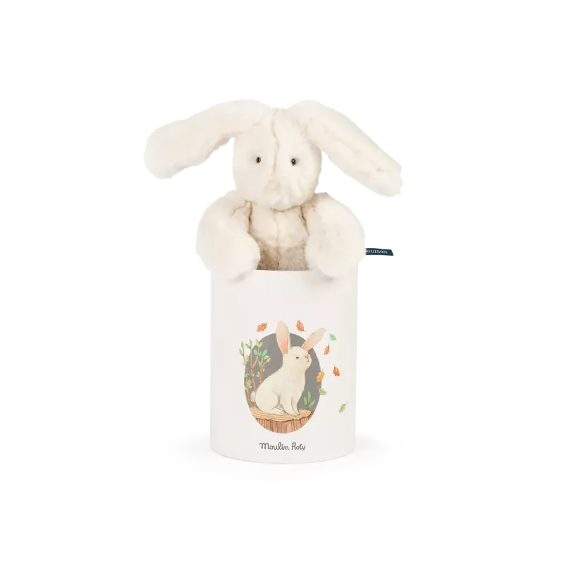 Poupée Lapin - Louison - Dans sa boite 