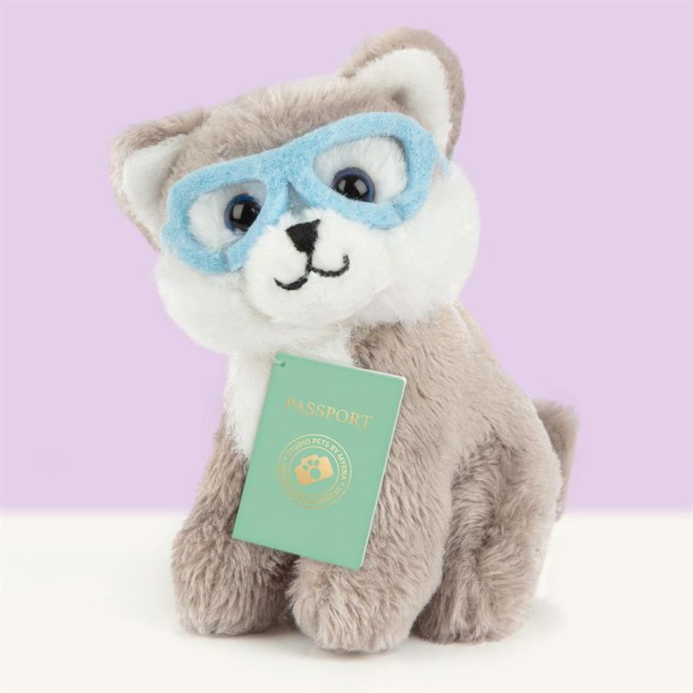 Mini peluche dans sa boîte studio pets - Alaskan malamute