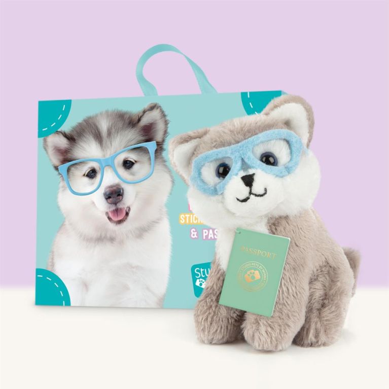 Mini peluche dans sa boîte studio pets - Alaskan malamute