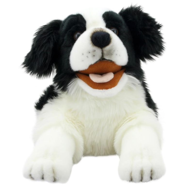 Peluche Border collie 