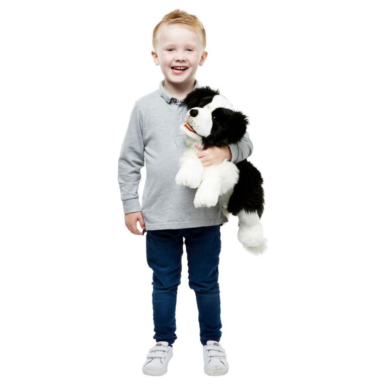 Peluche Border collie 