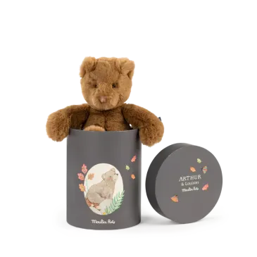 Poupée Ours - Arthur - Dans sa boite 