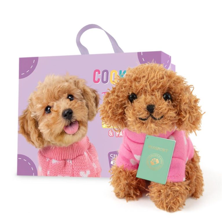 Mini peluche dans sa boîte studio pets - Poodle
