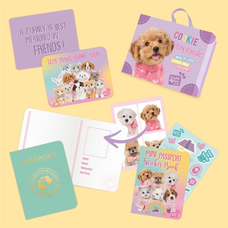 Mini peluche dans sa boîte studio pets - Poodle