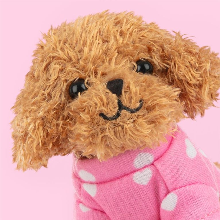 Mini peluche dans sa boîte studio pets - Poodle