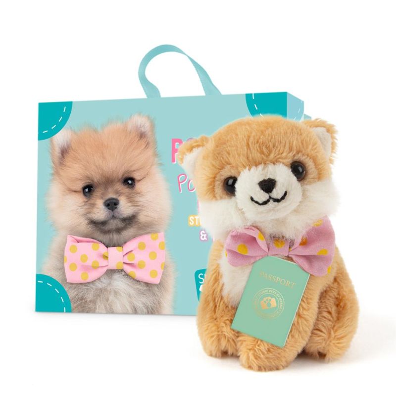 Mini peluche dans sa boîte studio pets - Pomeranian