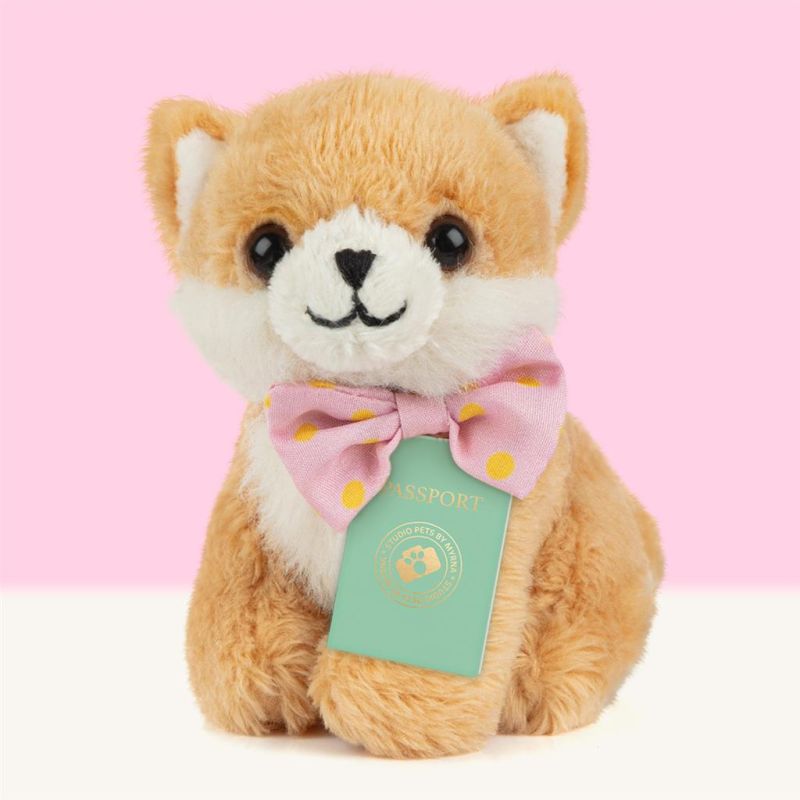 Mini peluche dans sa boîte studio pets - Pomeranian