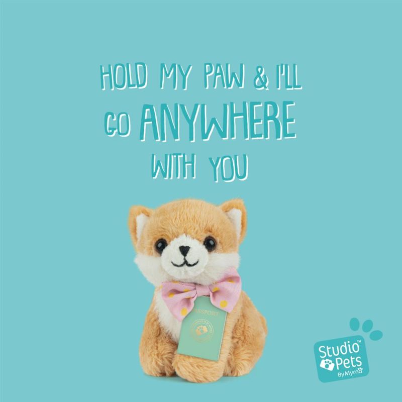 Mini peluche dans sa boîte studio pets - Pomeranian