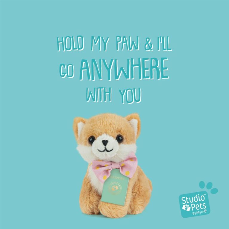 Mini peluche dans sa boîte studio pets - Pomeranian