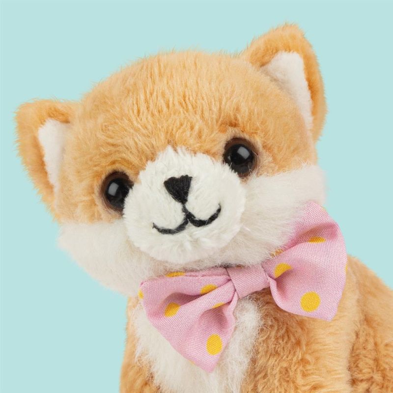 Mini peluche dans sa boîte studio pets - Pomeranian