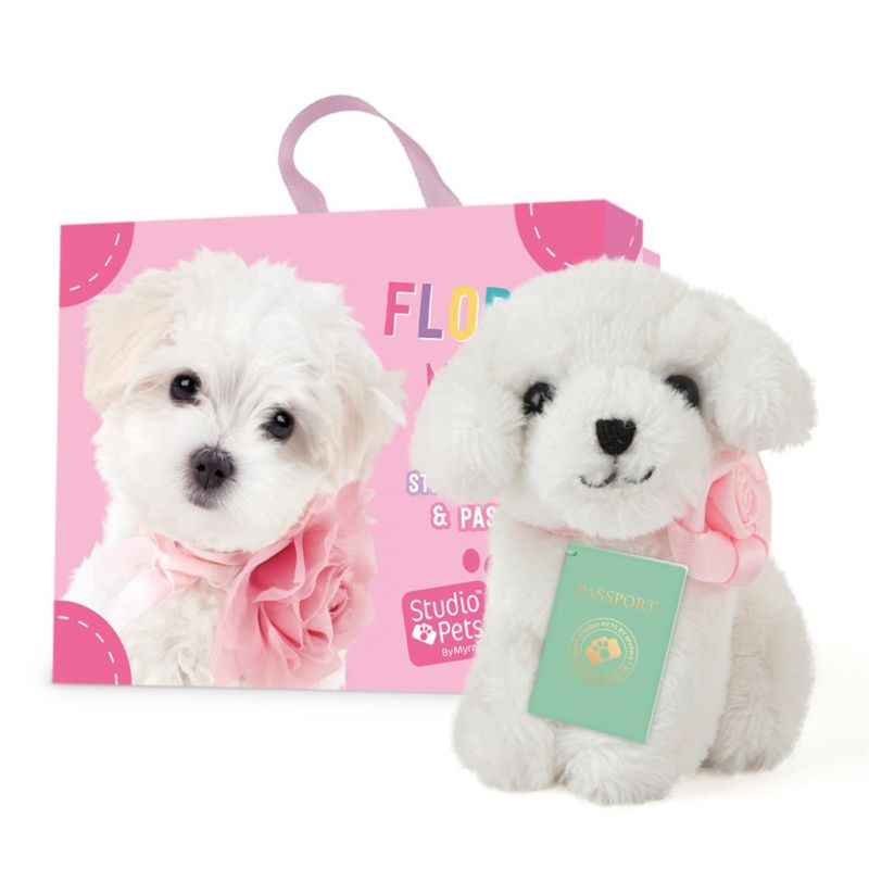 Mini peluche dans sa boîte studio pets - Maltese